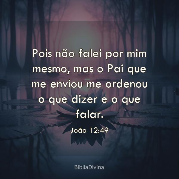 João 12:49