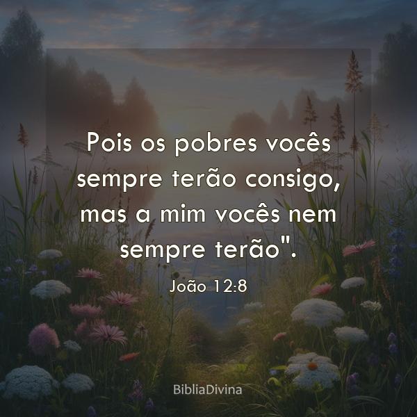 João 12:8