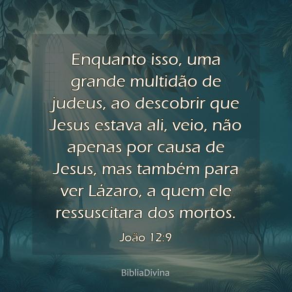 João 12:9