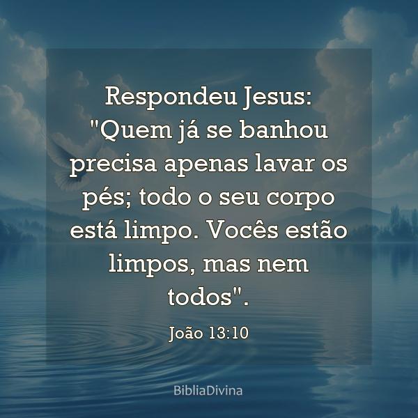 João 13:10