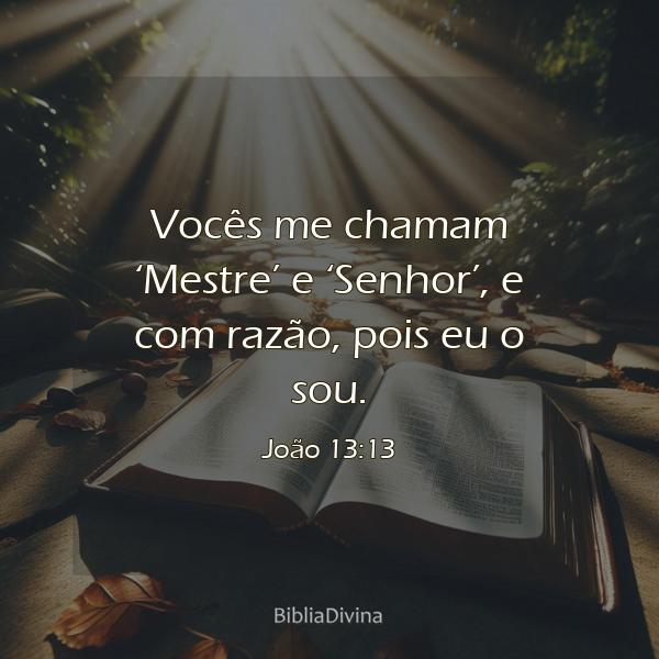 João 13:13