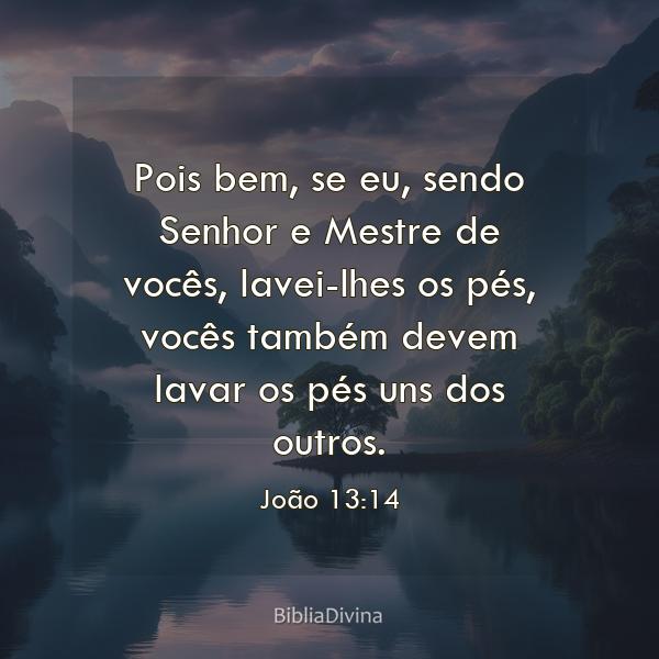 João 13:14