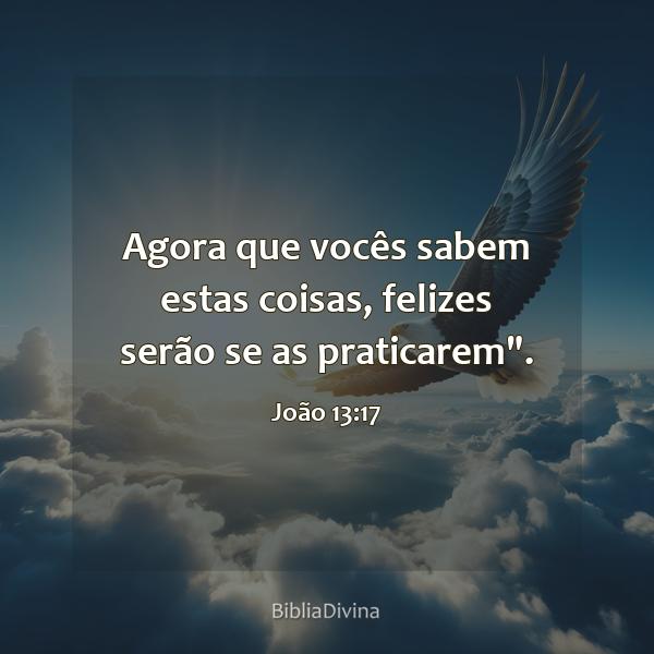 João 13:17