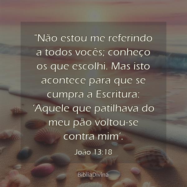 João 13:18