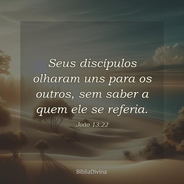 João 13:22