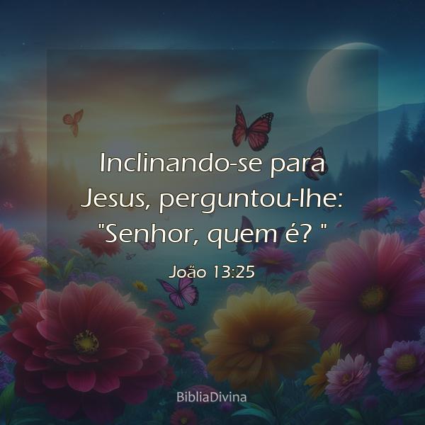 João 13:25