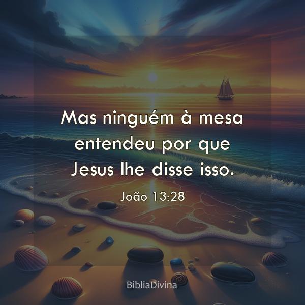 João 13:28