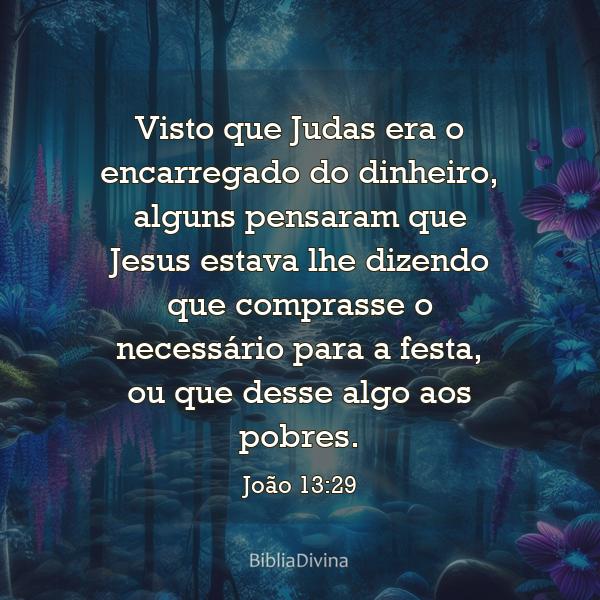 João 13:29