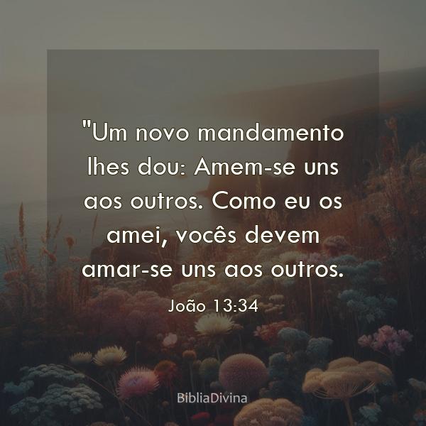 João 13:34