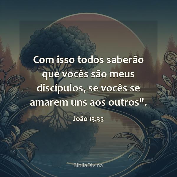 João 13:35