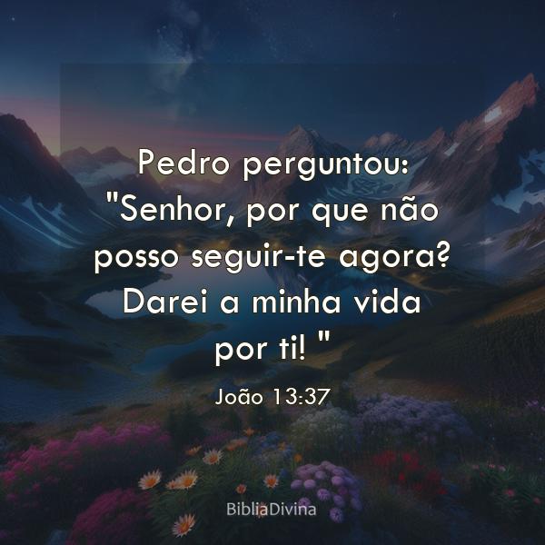 João 13:37