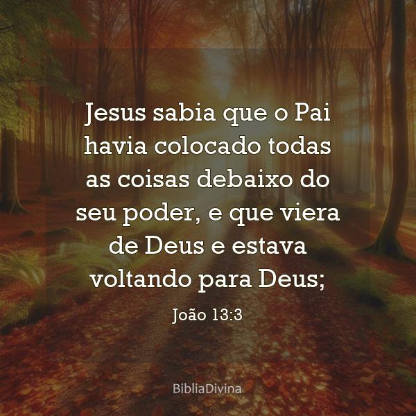 João 13:3