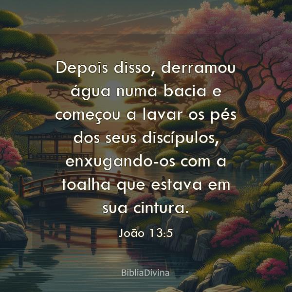 João 13:5