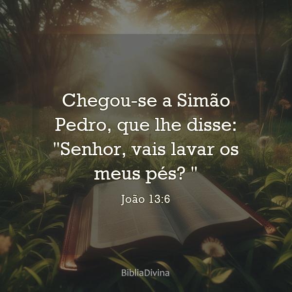 João 13:6