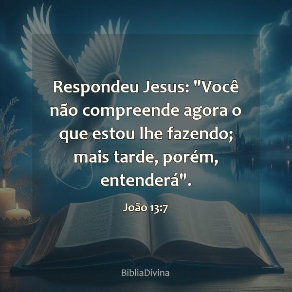 João 13:7