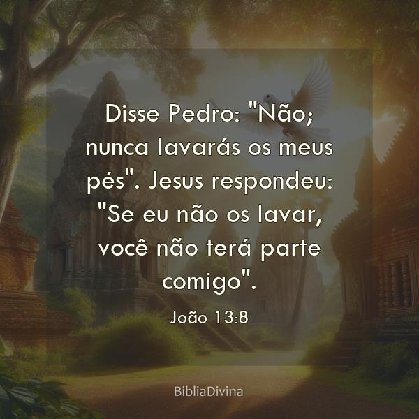 João 13:8