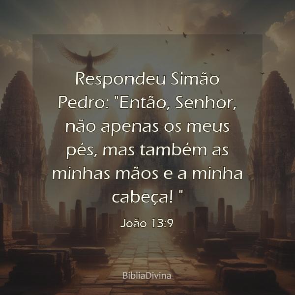 João 13:9