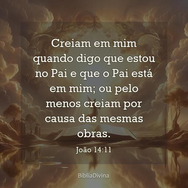 João 14:11