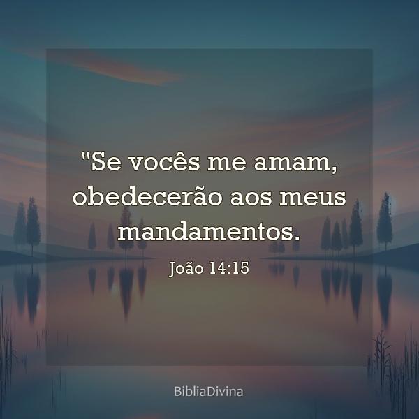 João 14:15