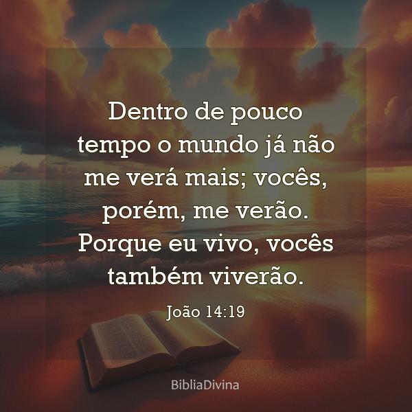 João 14:19