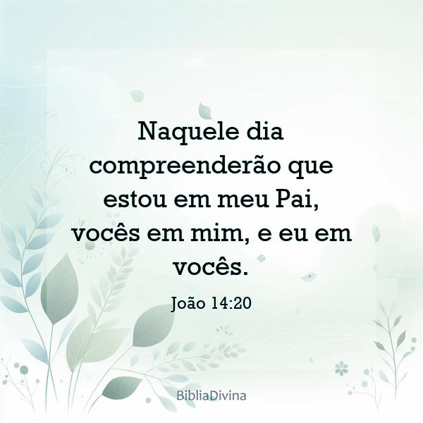 João 14:20