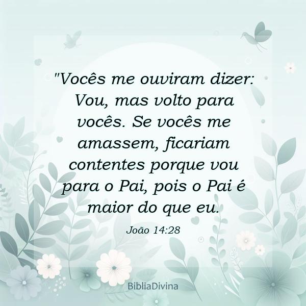 João 14:28