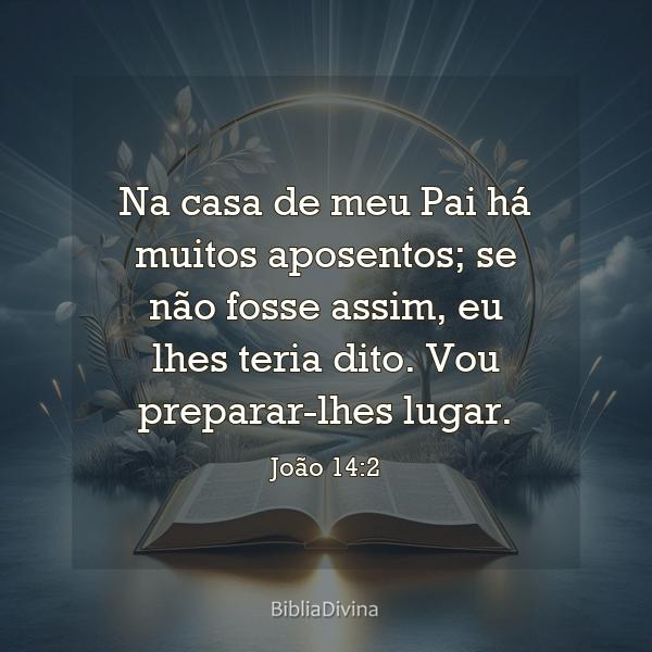 João 14:2