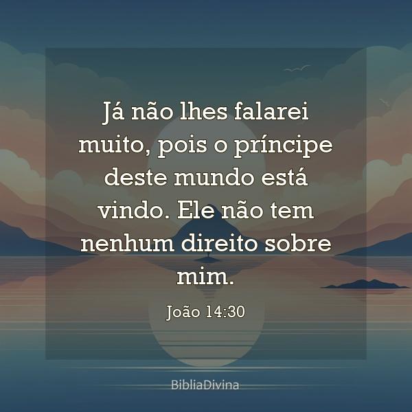 João 14:30