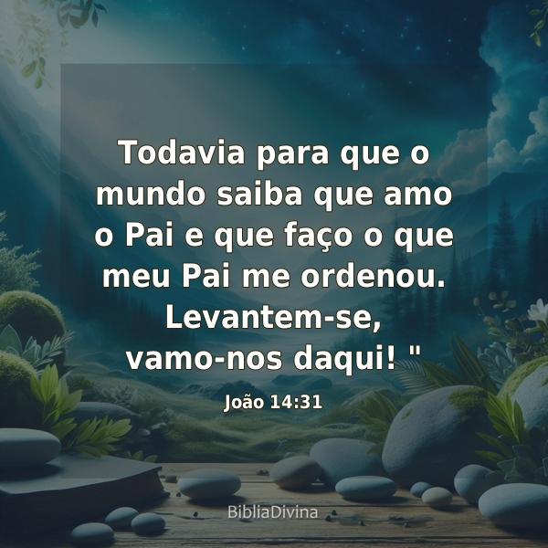 João 14:31