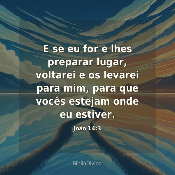 João 14:3