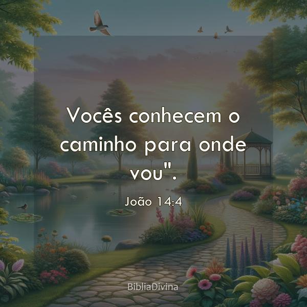 João 14:4