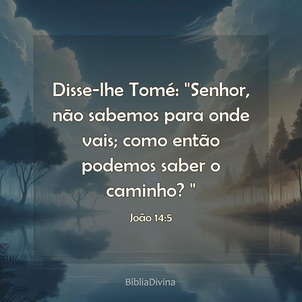 João 14:5