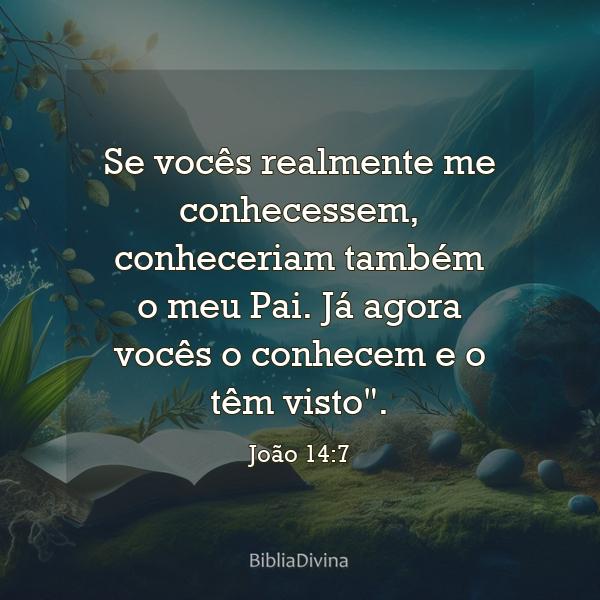 João 14:7