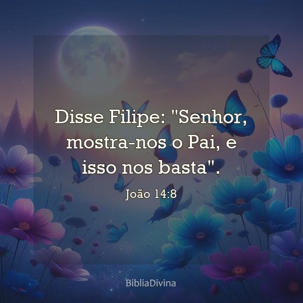 João 14:8