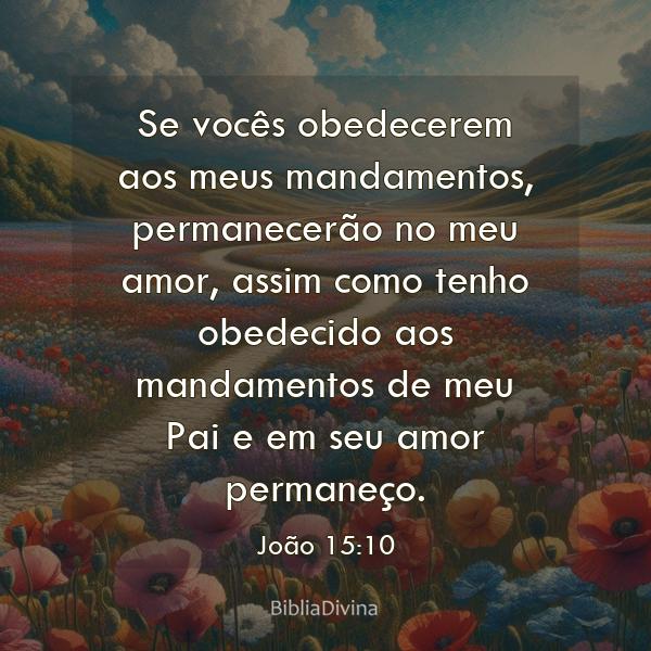 João 15:10