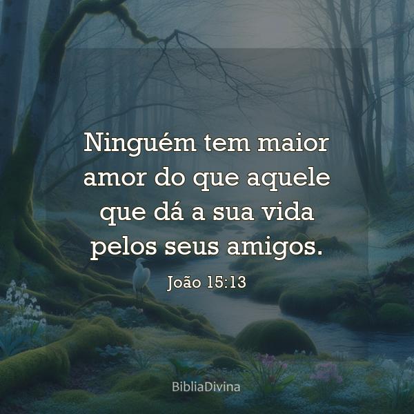 João 15:13