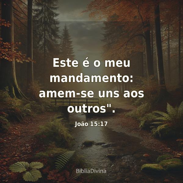 João 15:17