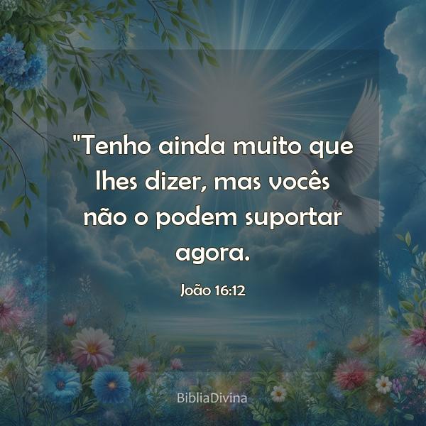 João 16:12