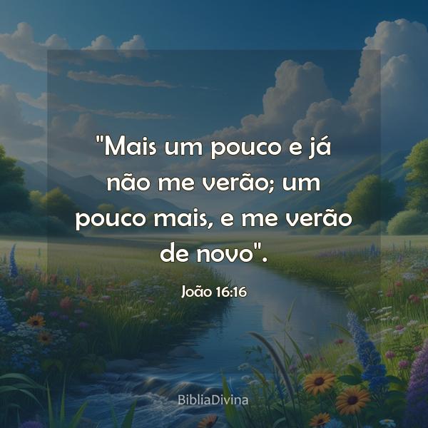 João 16:16