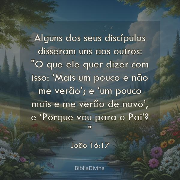 João 16:17