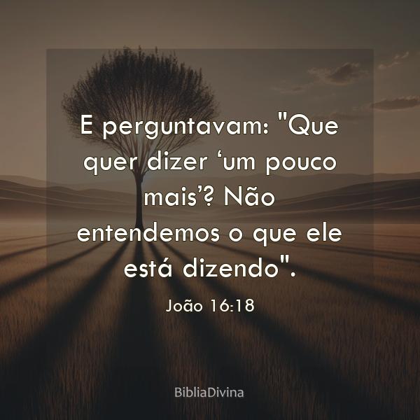 João 16:18