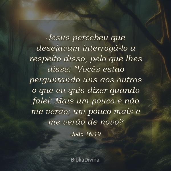 João 16:19