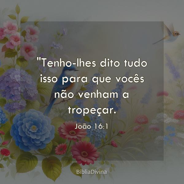 João 16:1