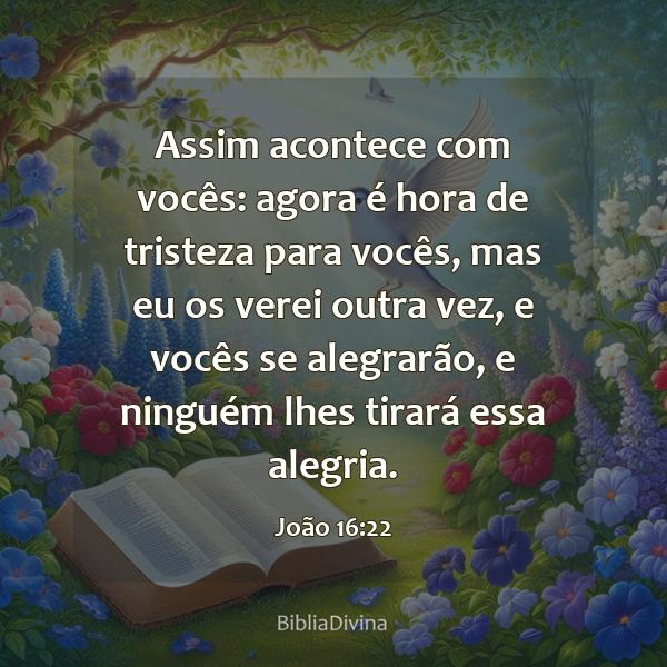 João 16:22