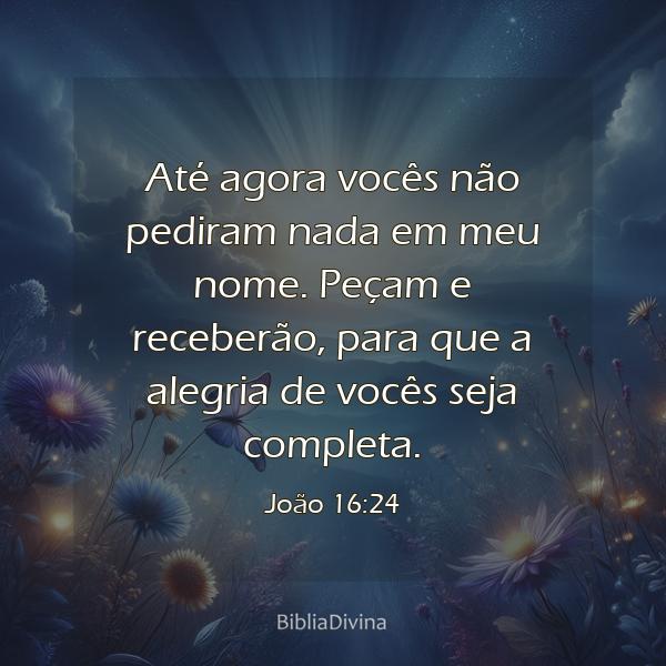 João 16:24