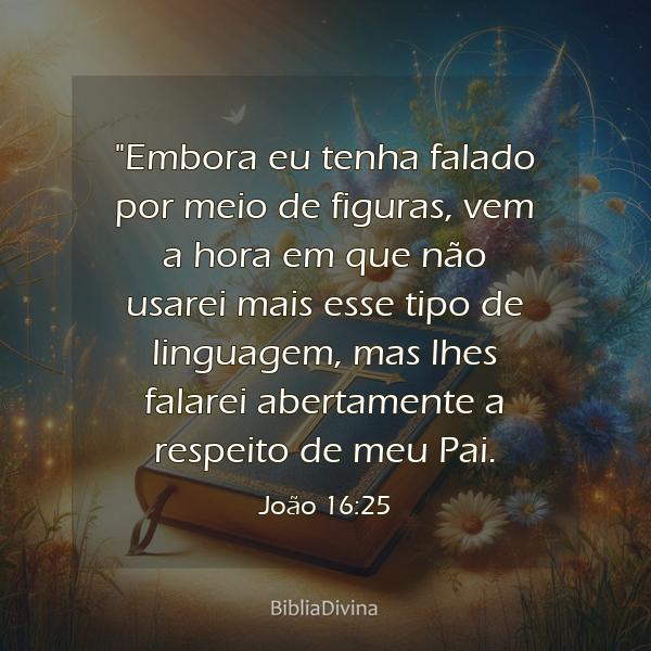 João 16:25