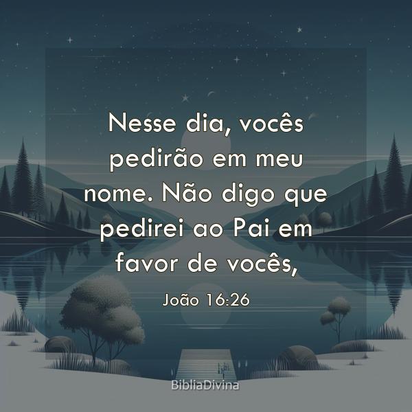 João 16:26