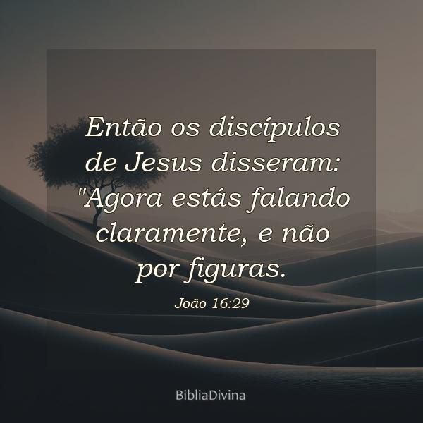 João 16:29