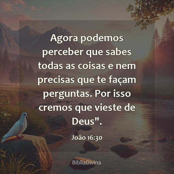 João 16:30