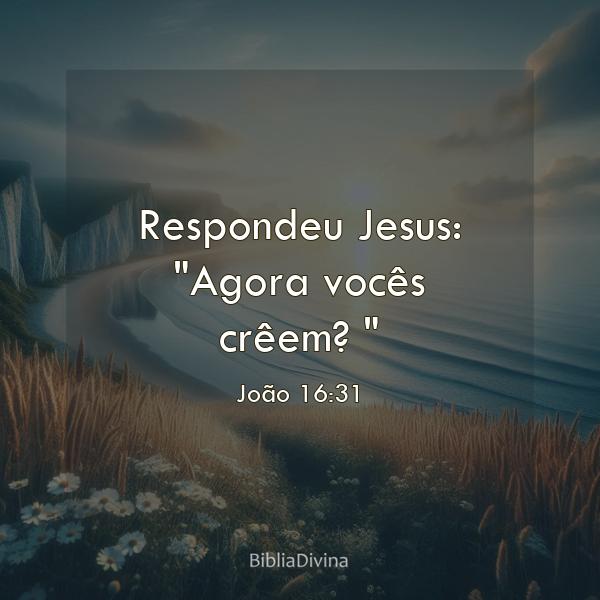 João 16:31